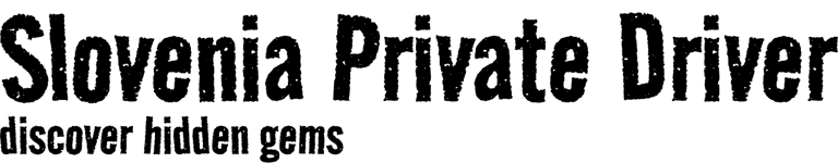 Slovenia private driver logo