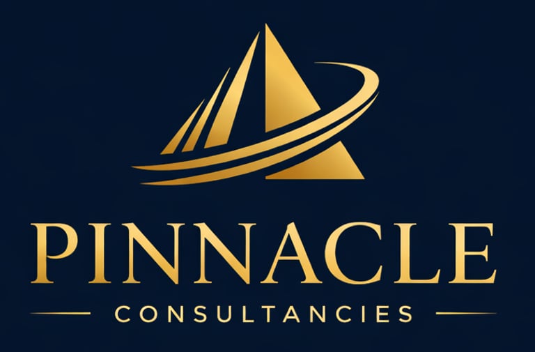 Pinnacle MAB International Consultancies FZCO logo