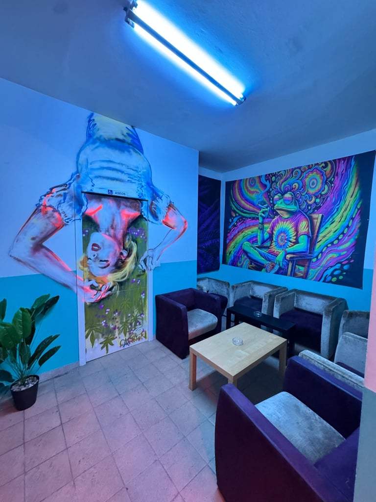 Freedom | Club cannabis Madrid