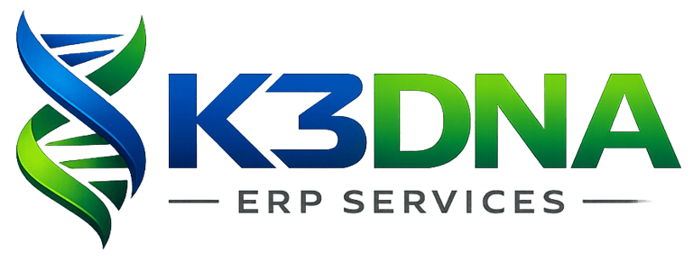 K3DNA ERP Services logo