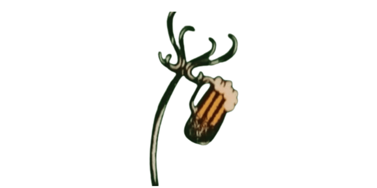 BrewFest Hub logo