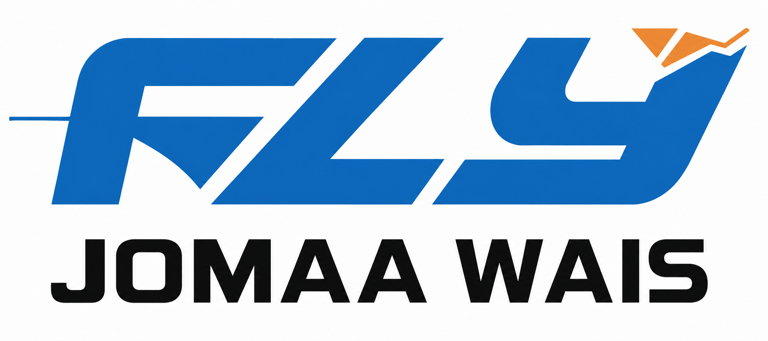 FLY logo