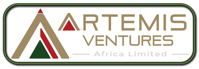 Artemis Ventures Africa logo