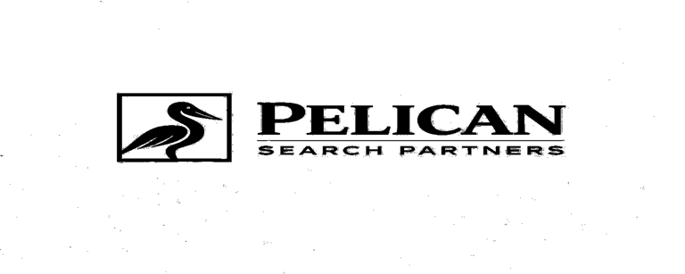 Pelican Search Partners logo