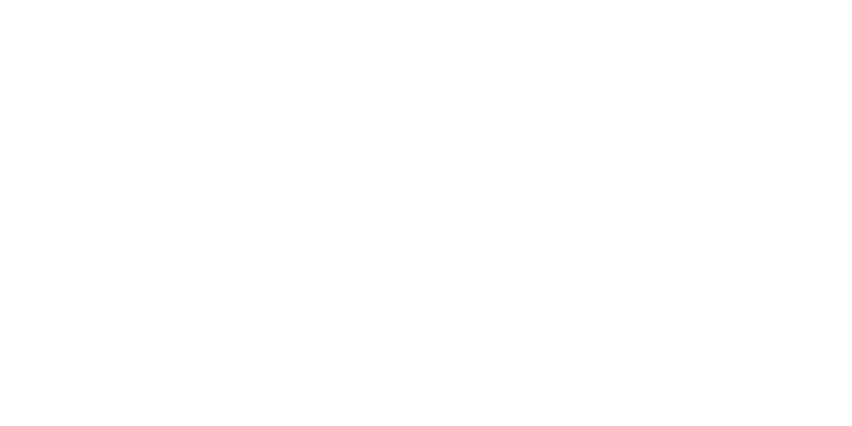 Zert Registros logo
