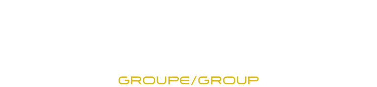 Élan Stratège logo