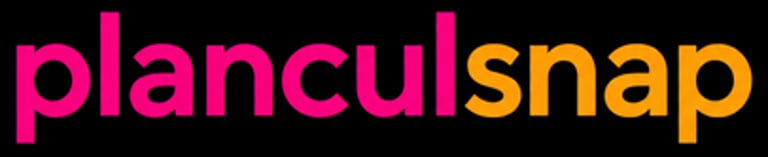 Planculsnap.com logo