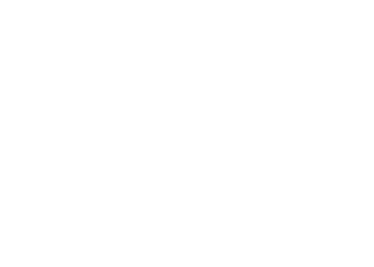 Will Nelson Constructions logo