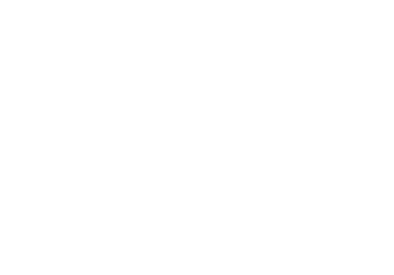 Will Nelson Constructions logo