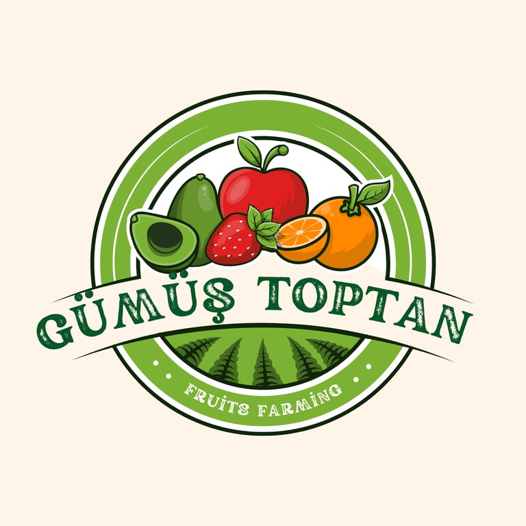 Gümüş Toptan Gıda logo