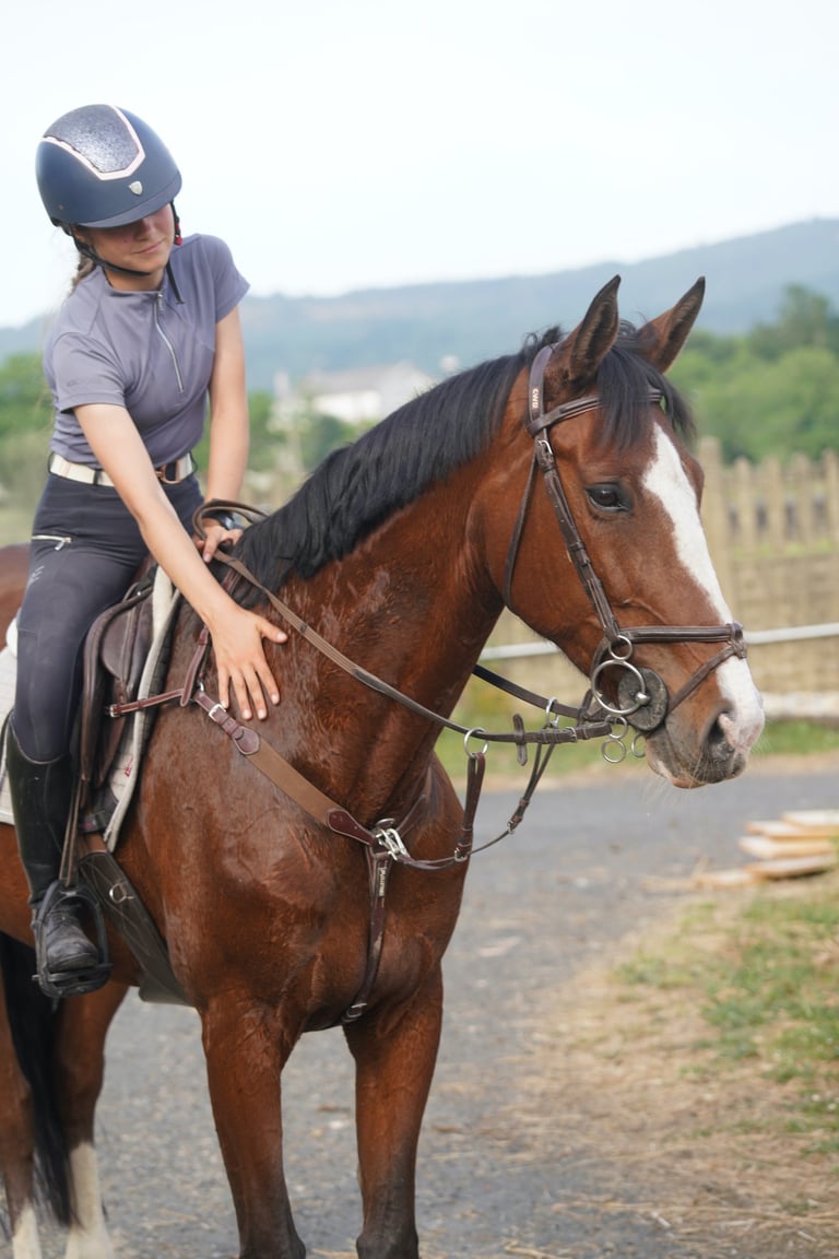 conexión con caballo