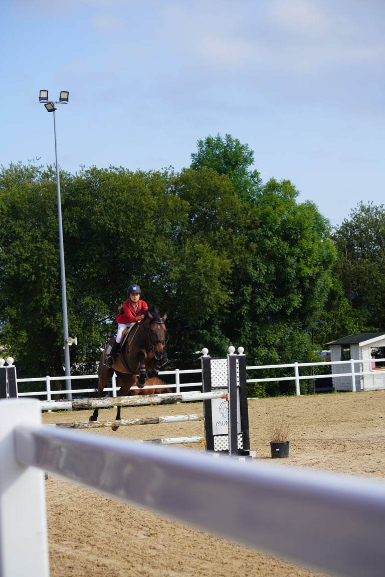 tecnica salto caballo