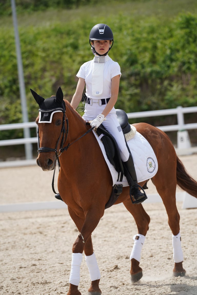 calentamiento doma clásica 