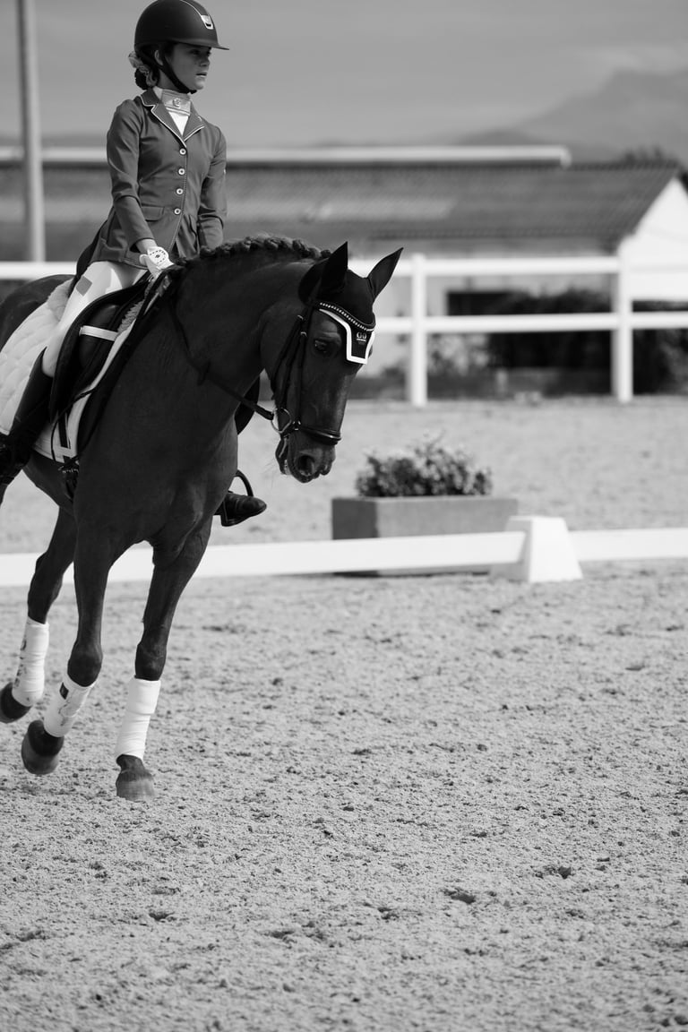 concurso doma clásica