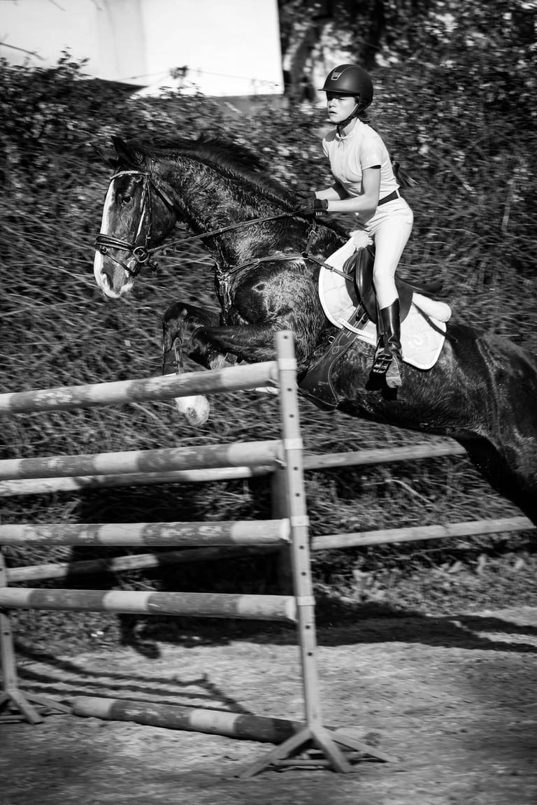 caballo saltando alto