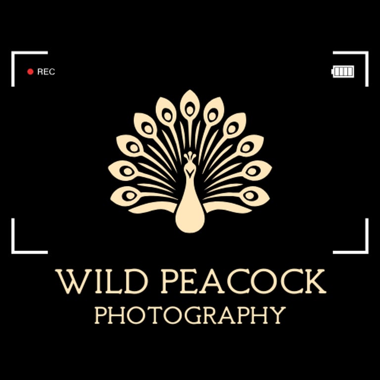 Wild Peacock Photography logo