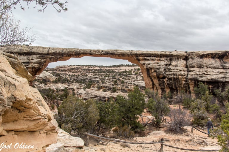 Natural Bridges National Monument, Utah