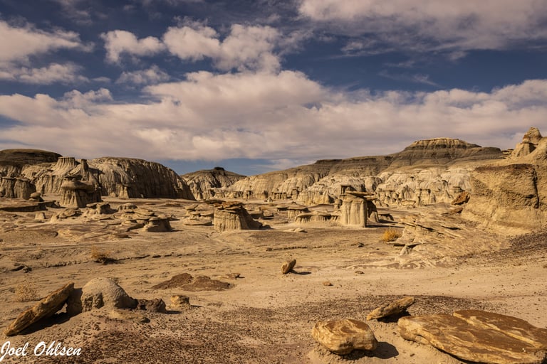 Bisti Badlands