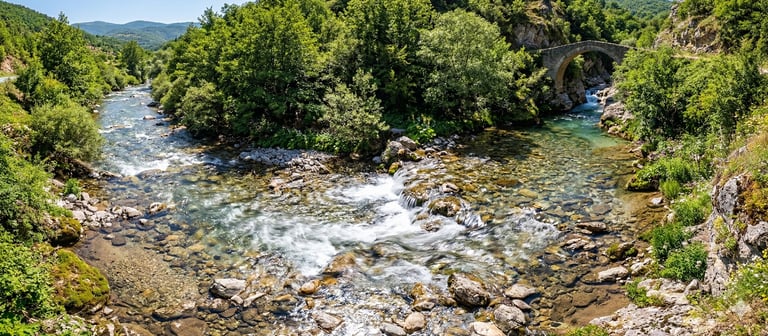 flowing river surrounded by nature