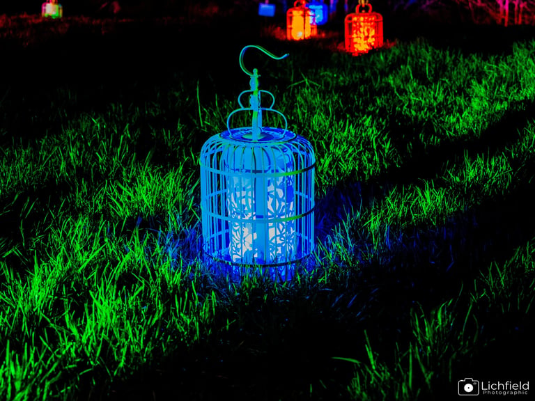 Luminate  a blue lantern light on grass at night