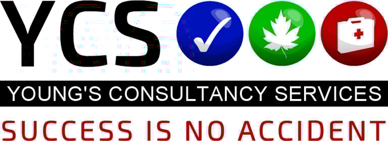 YOUNG'S CONSULTANCY SERVICES LTD logo