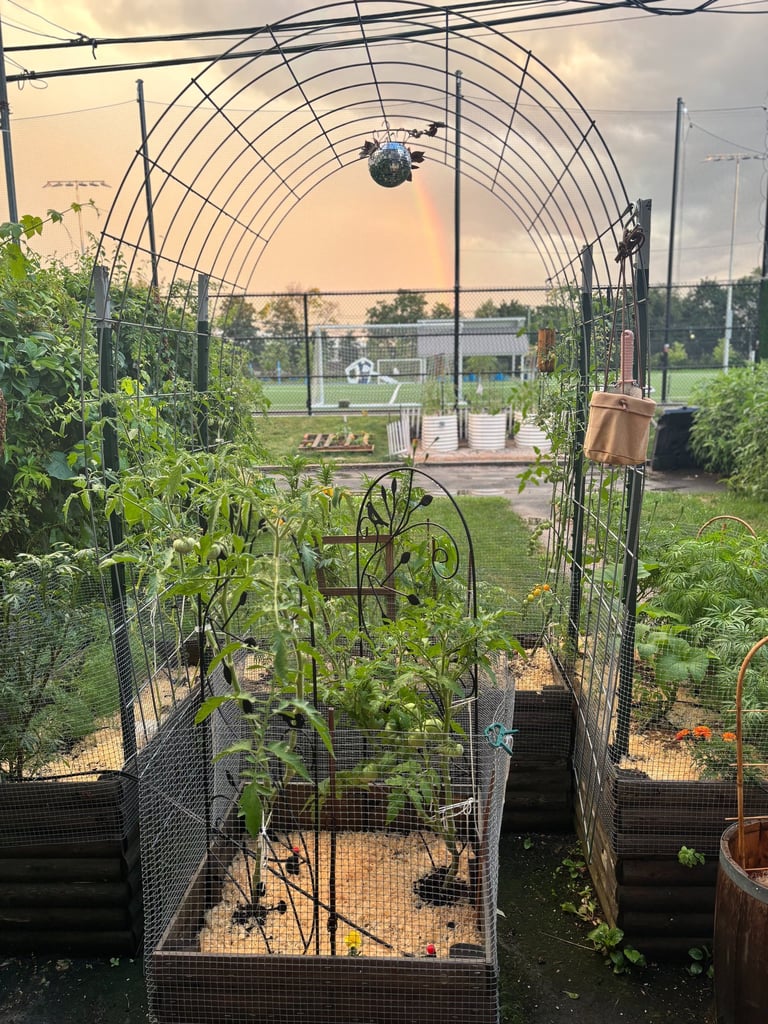 Elevated raised garden bed for small space vegetable gardening