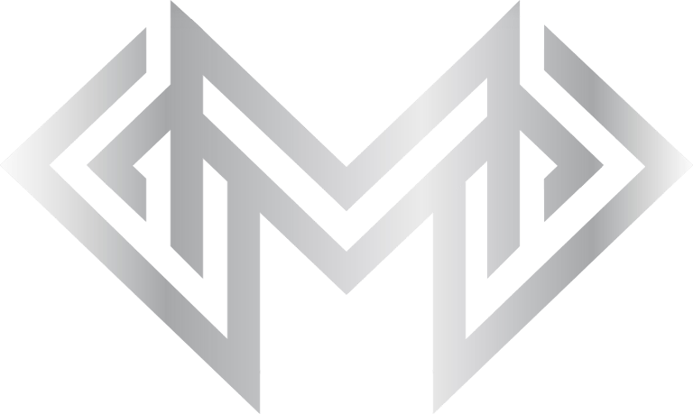 DMD VISION logo