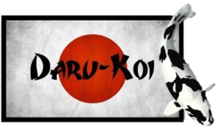 Daru-Koi logo