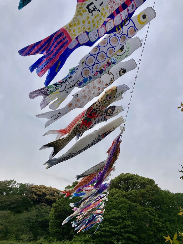 Many Koinobori strung together over a large lake at a park in Japan. Photo by Megumi Watanabe