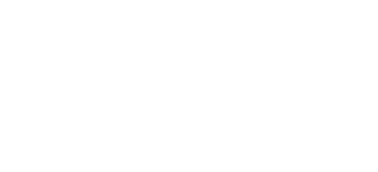 Power Pet logo