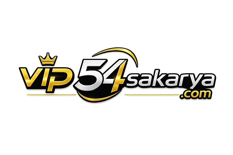 SakaryaVibe logo