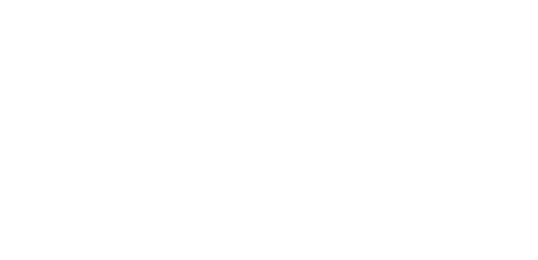 Big Apple Vibe logo