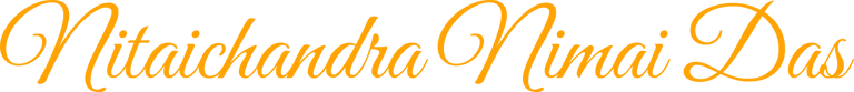 Nitaichandra Nimai Das logo