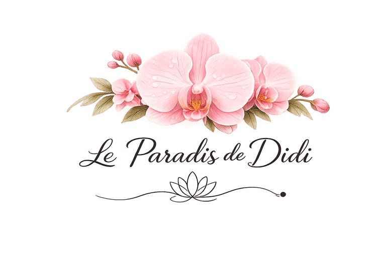leparadisdedidi logo