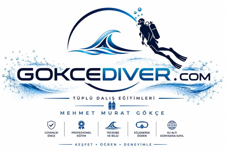 Derin Güvence logo
