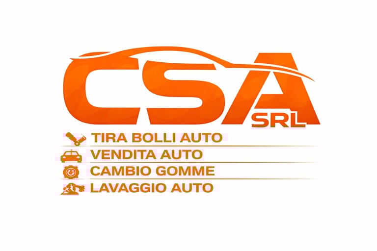 Csa Srl logo