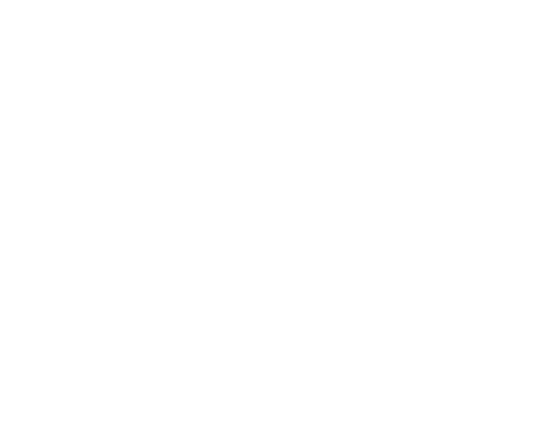 Benza Project Management logo