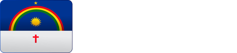 Marcelo Silva logo