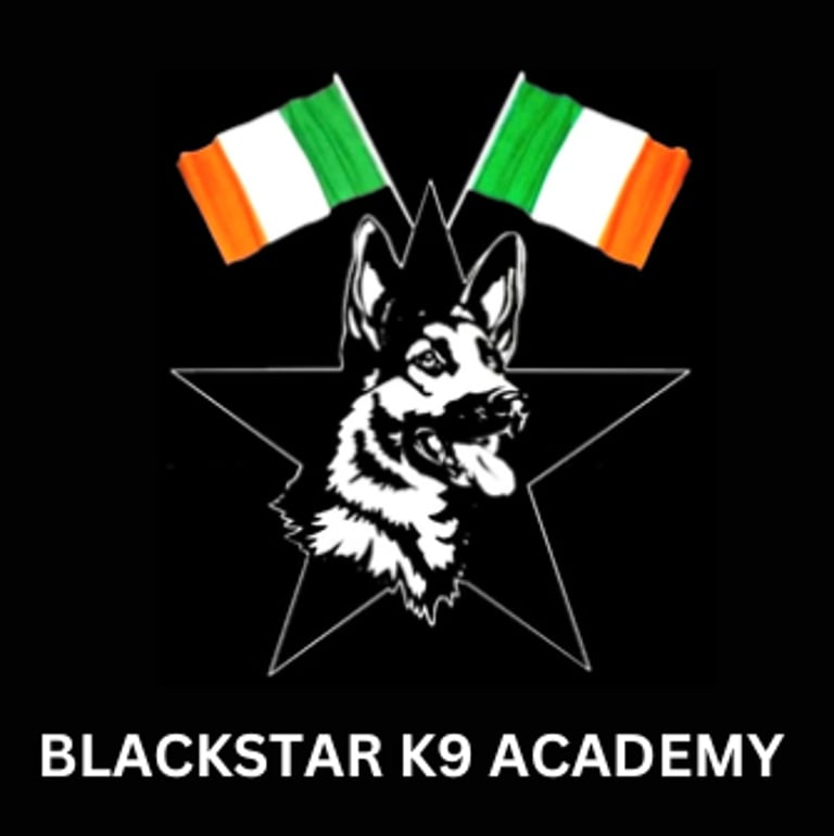 BLACK STAR K9 ACADEMY logo