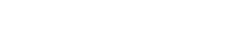 Wild Thing Studio logo