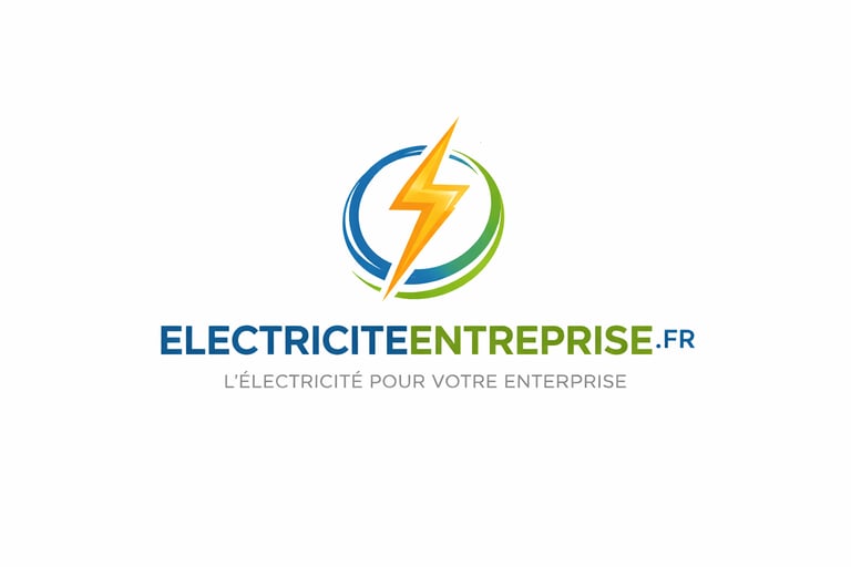 ELECTRICITE ENTREPRISE logo