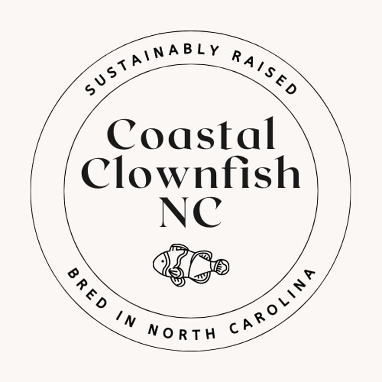 Coastal Clownfish NC. logo
