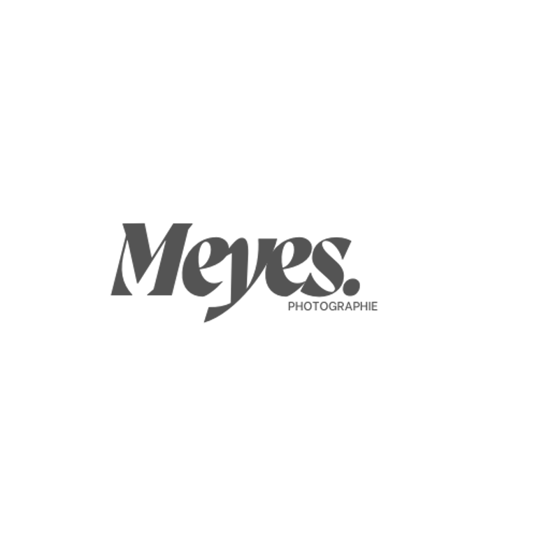Meyes logo