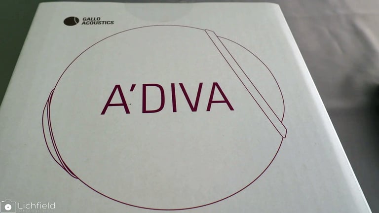 Adiva speaker box
