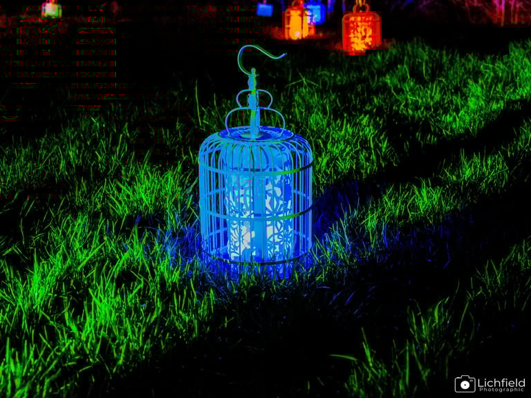 Luminate  a blue lantern light on grass at night