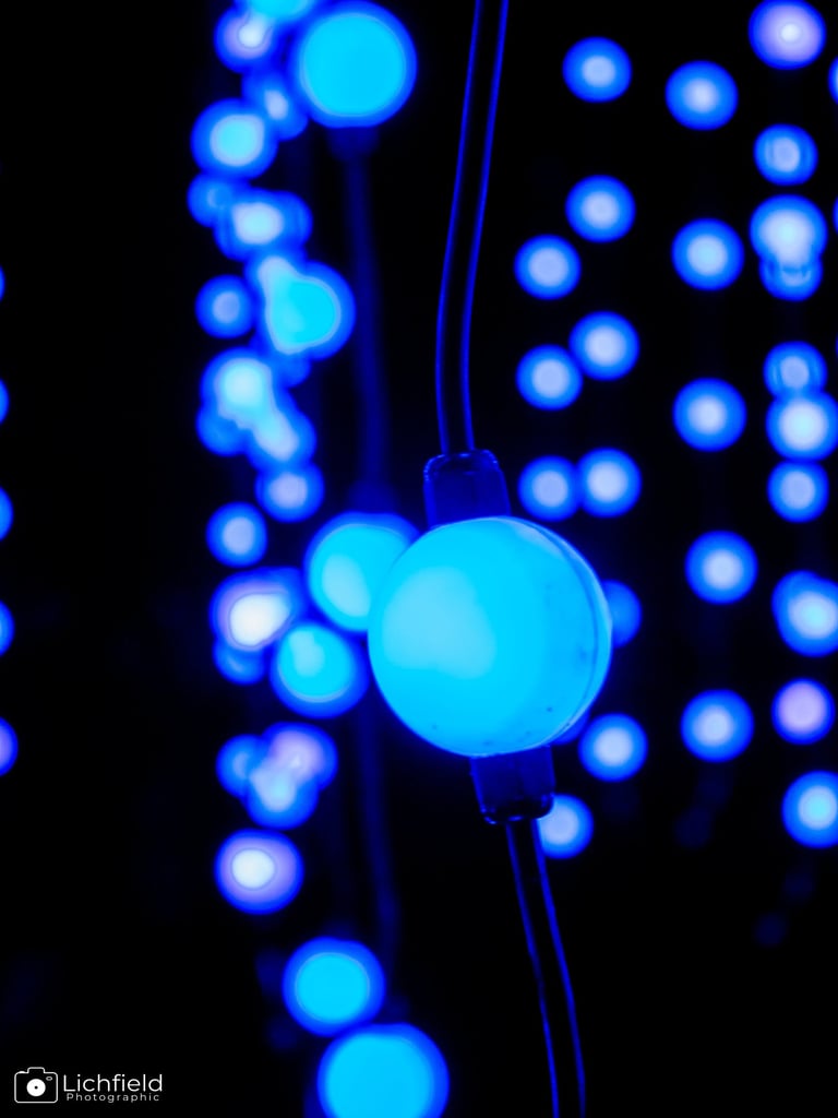  Luminate Close up light bulb