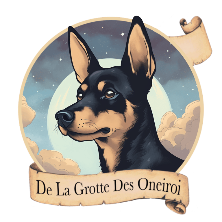 Kelpie Australien, Élevage de la Grotte des Oneiroi logo