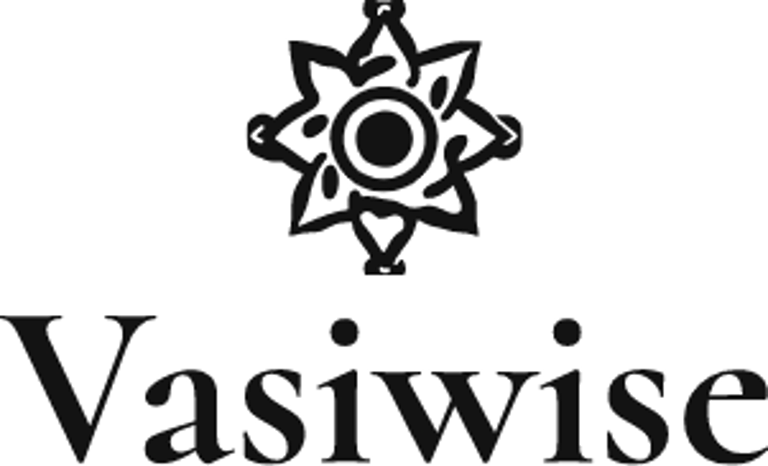 Vasiwise logo