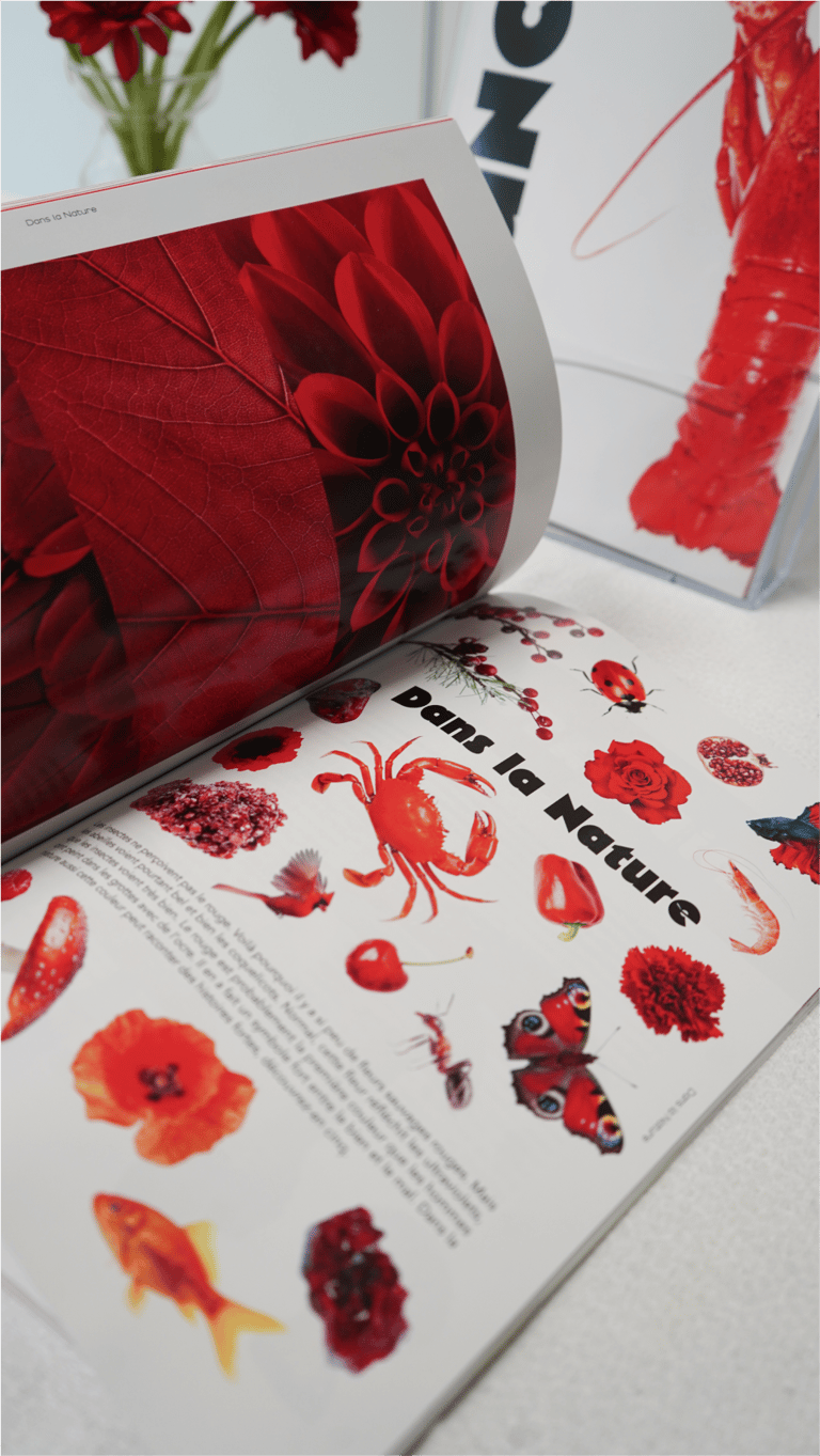 Image stand projet d'édition et de design graphique du magazine Nuances par Julianne Bouget graphiste freelance