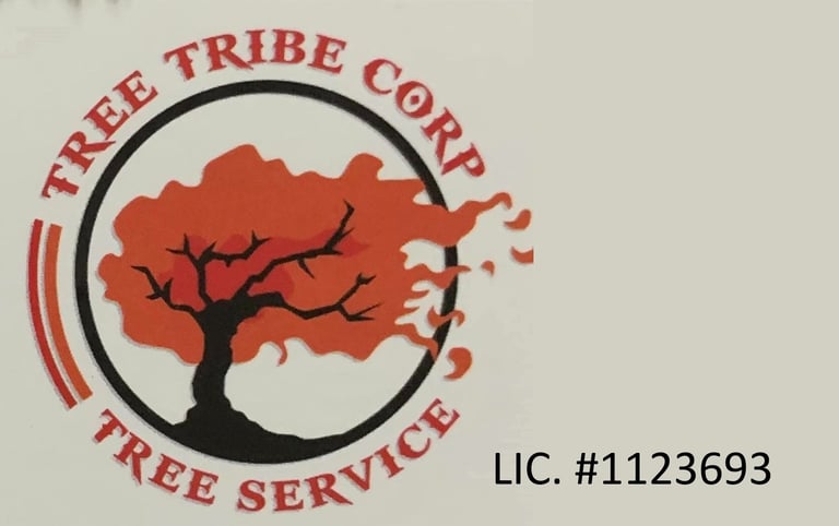 Tree tribe corp logo